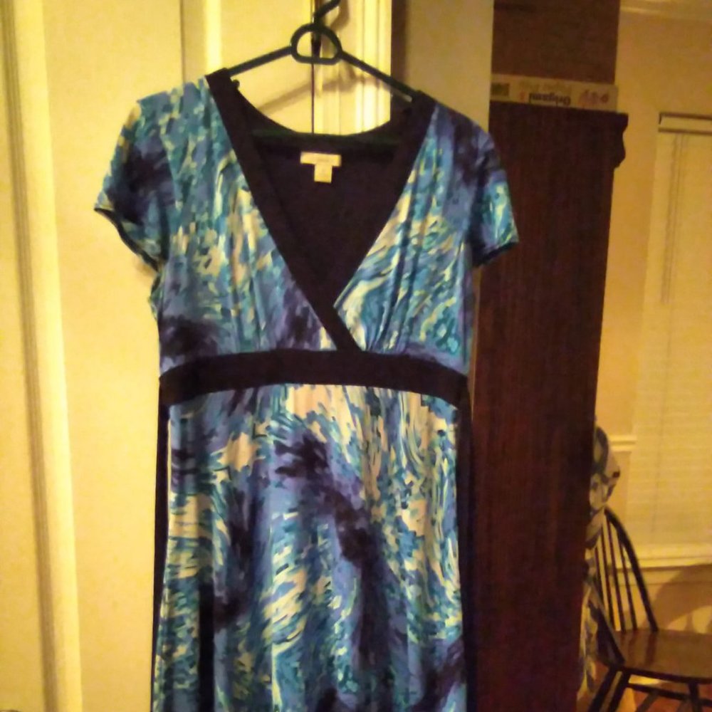 Size 10 Dress Barn - Ladies Dress